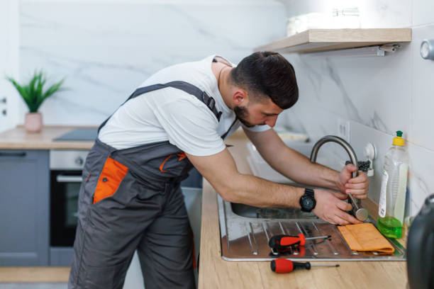 Best Local Plumber Services  in Avilla, AR